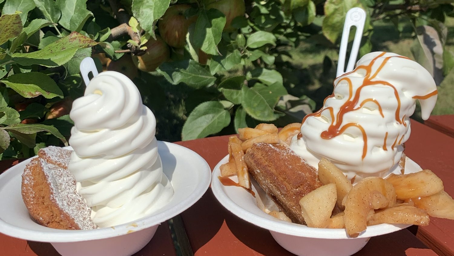 Two signature desserts of Yates Family Orchard including the creamee creemee dreamee® and the supreme dreamee®